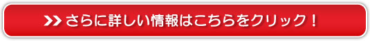 XiفwVǧNxj^[̔TCg